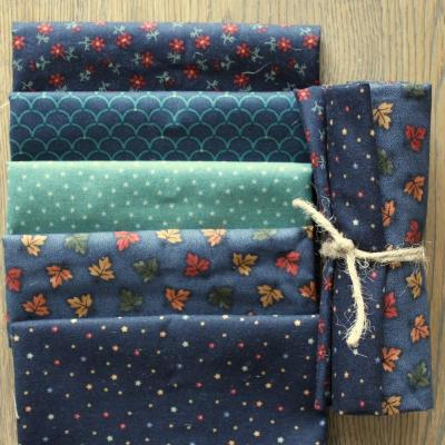 5 coupons 20 x 55 cm- D08-BLEU